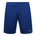 GORE R5 2in1 Shorts ultramarine blue 
